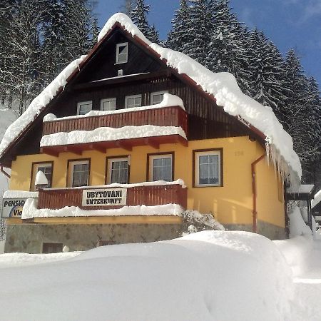 Pension Vladimír Janske Lazne Bagian luar foto