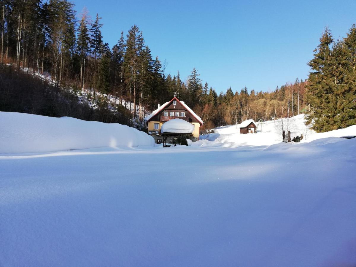 Pension Vladimír Janske Lazne Bagian luar foto